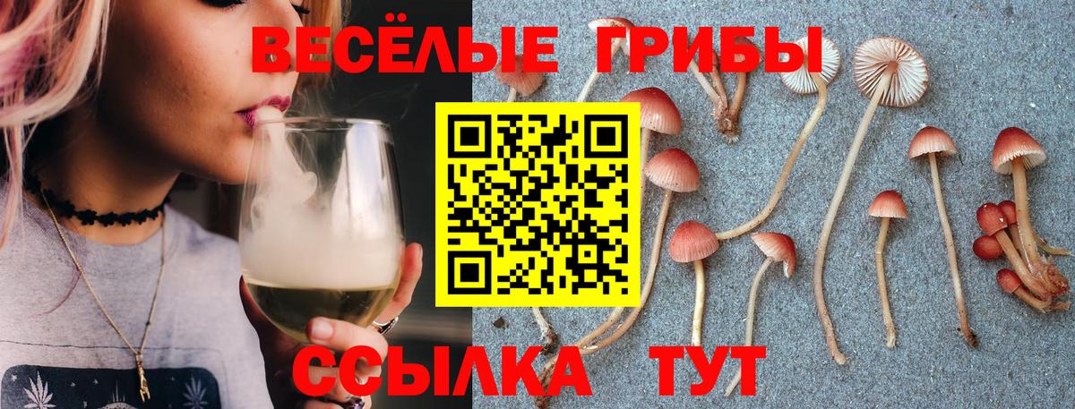 Псилоцибиновые грибы GOLDEN TEACHER  Вход с VPN  Лабинск 